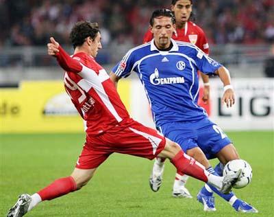 和顽强的意, 区的